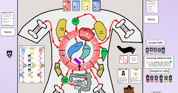 Human body, blood cells, immune system